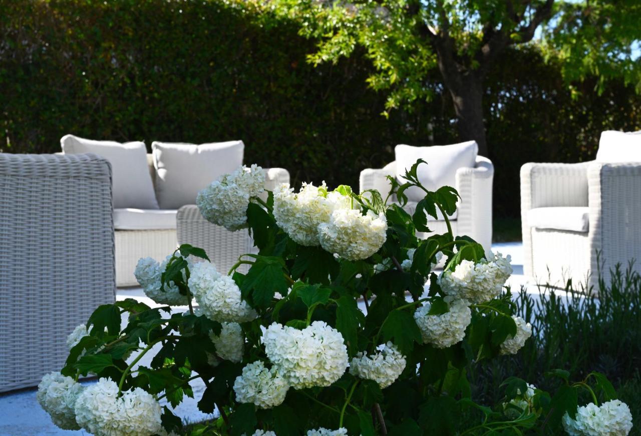 Aura Relais Bed and Breakfast Numana Εξωτερικό φωτογραφία