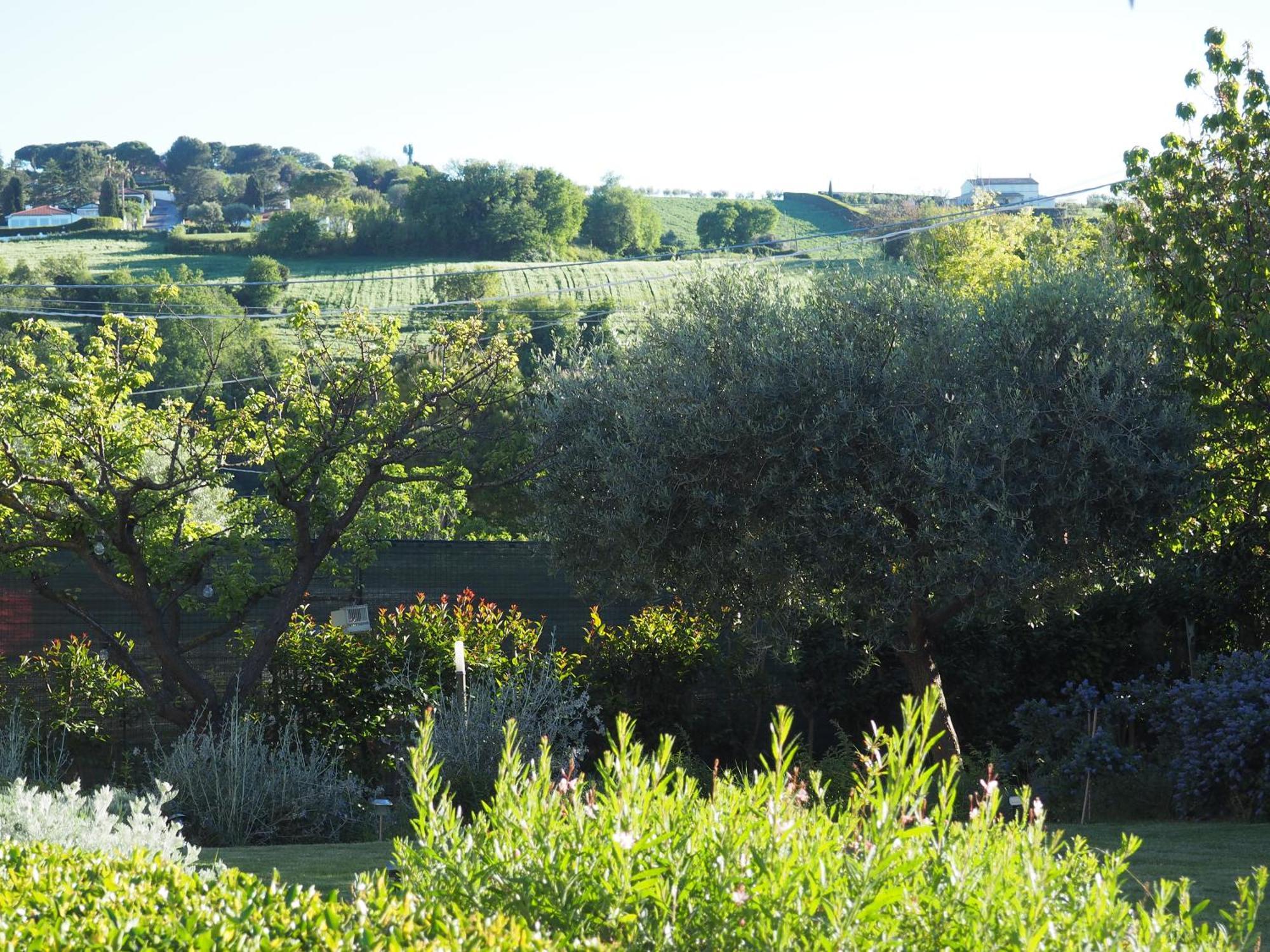 Aura Relais Bed and Breakfast Numana Εξωτερικό φωτογραφία